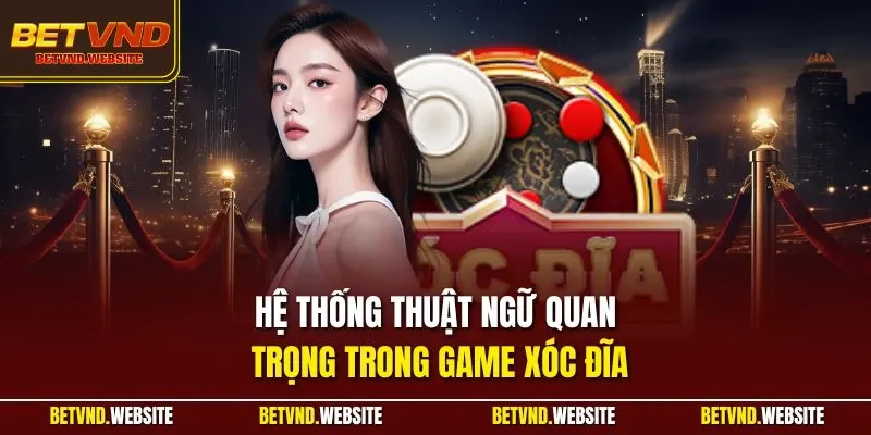 Hệ thống thuật ngữ quan trọng trong game xóc đĩa