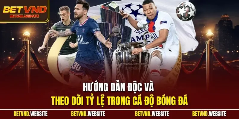 Hướng dẫn độc và theo dõi tỷ lệ trong cá độ bóng đá