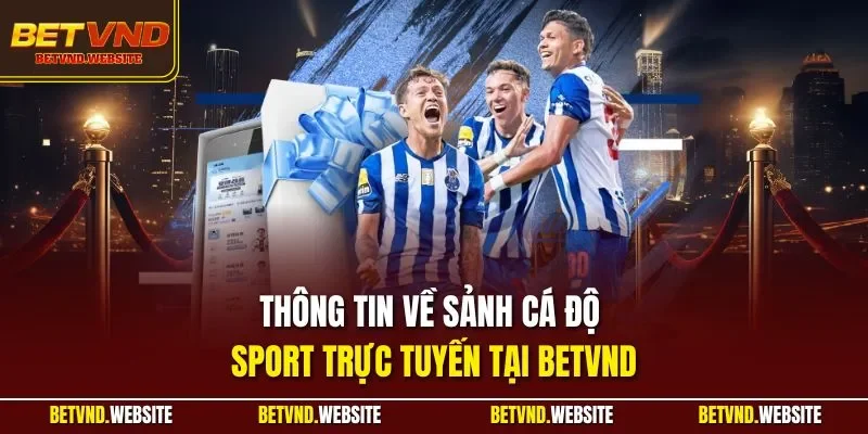 Thông tin về sảnh cá độ Sport trực tuyến tại BETVND